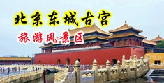 白丝美女扣b自慰中国北京-东城古宫旅游风景区